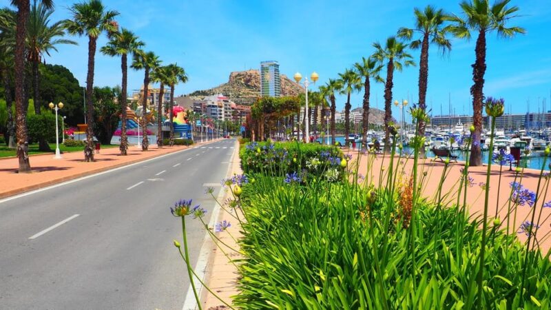 Denia - Old Town Private Walking Tour - Experience Vibrant Food Court