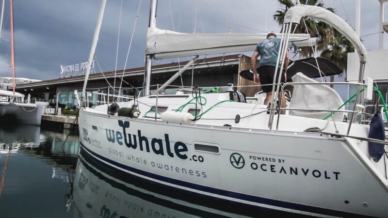 Denia: Sunset Electric Sailboat Cruise With Dolphin Spotting - Meeting Point and Logistics