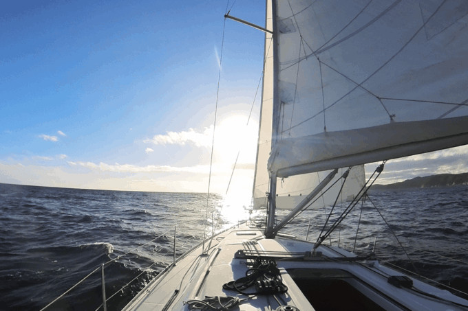Denia: Sunset Electric Sailboat Cruise With Dolphin Spotting - Frequently Asked Questions