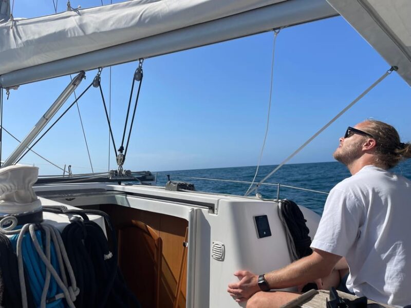 Denia: Whale and Dolphin Watching Morning Experience - Meeting Point and Important Information