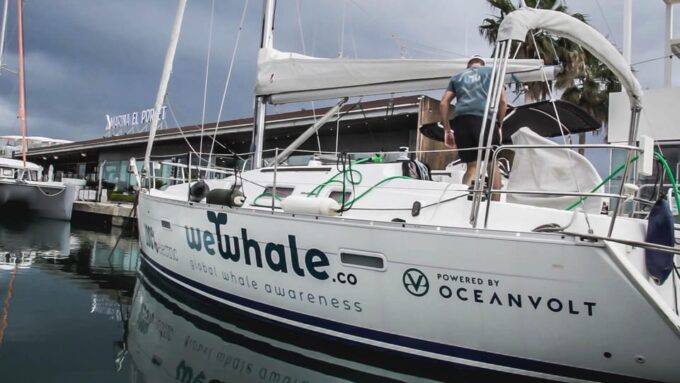 Denia: Whale and Dolphin Watching Morning Experience - Tour Duration and Inclusions