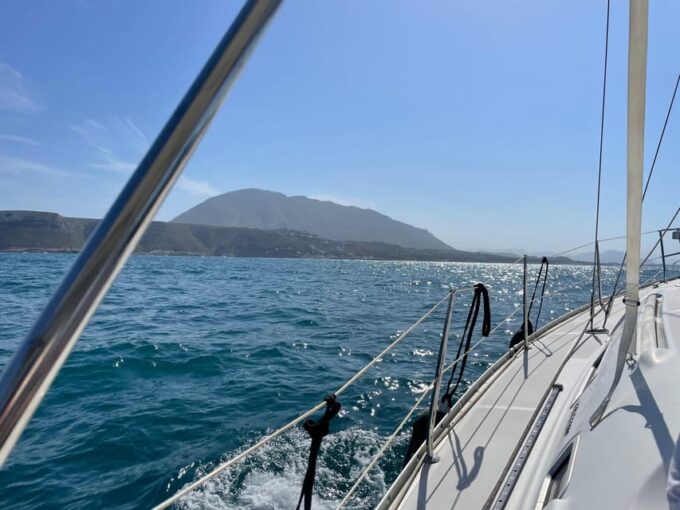 Denia: Whale and Dolphin Watching Morning Experience - Pricing and Group Size