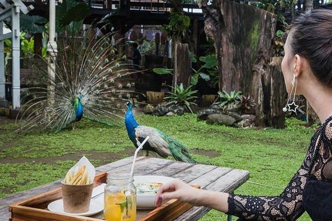 Denpasar City Tour - Cultural Highlights