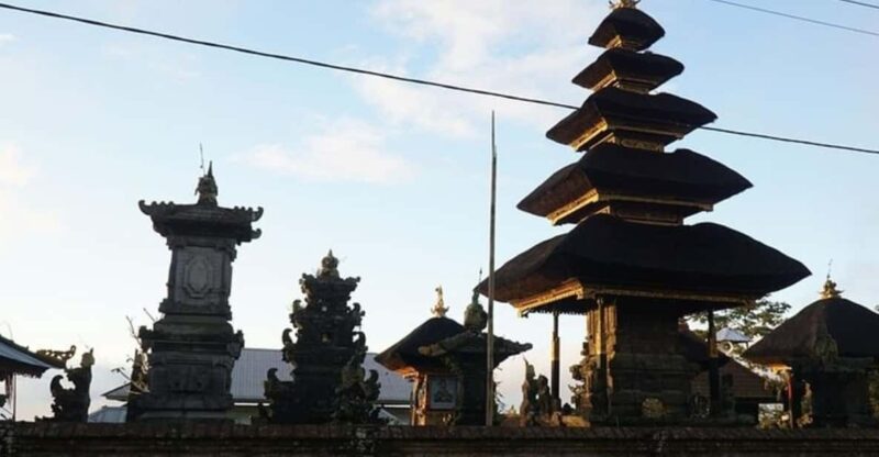 Denpasar: Private Custom Tour With a Local Guide - Insights Into History and Culture