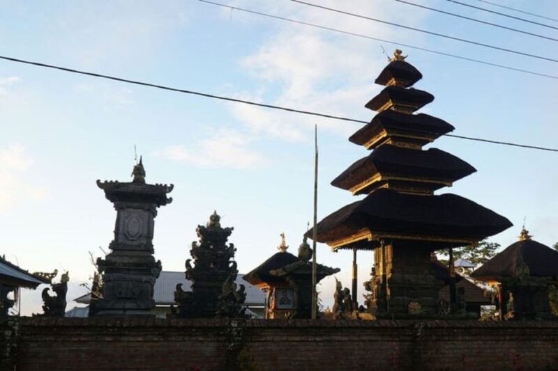 Denpasar: Private Custom Tour With a Local Guide - Logistics and Accessibility