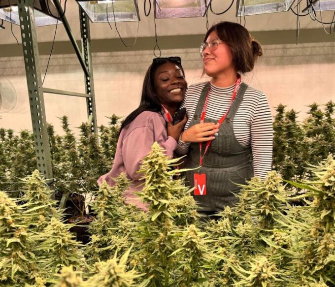 Denver: Cannabis Tour With Grow Facility Access - Explore Denvers Cannabis Culture