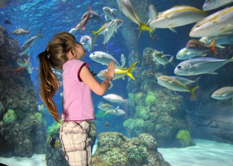 Denver: Downtown Aquarium All-Day Pass - Key Points