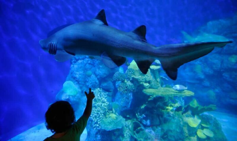 Denver: Downtown Aquarium All-Day Pass - Exploring the Downtown Aquarium