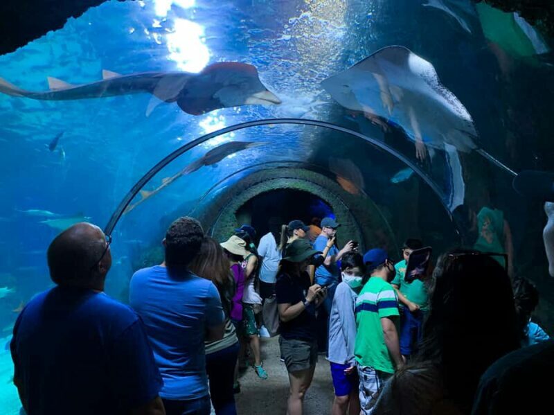 Denver: Downtown Aquarium All-Day Pass - Authentic Perspectives from Visitors