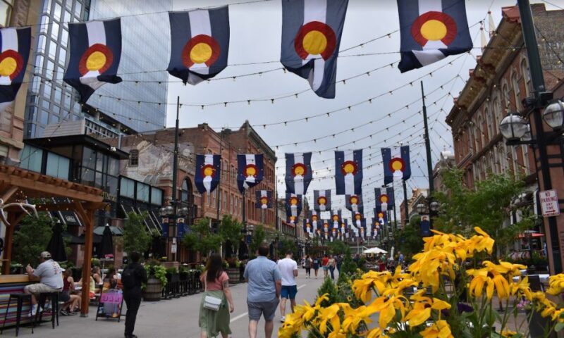Denver: Guided City Driving Tour - Tour Experience