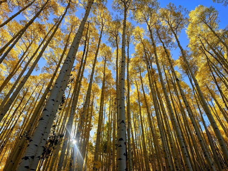 Denver: Guided Hiking Tour & Local Brewery - Exploring the Lariat Loop