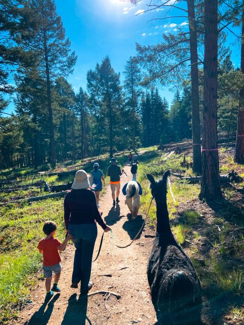 Denver: Llama Hike in the Rocky Mountains - Group Requirements