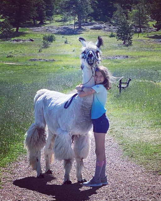 Denver: Llama Hike in the Rocky Mountains - Booking and Cancellation
