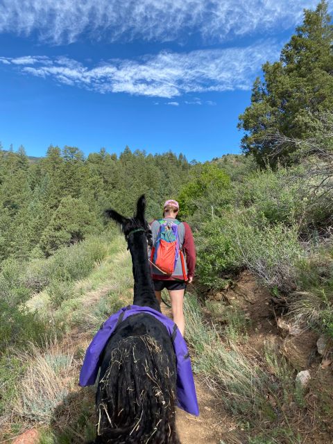 Denver: Llama Hike in the Rocky Mountains - Prohibited Items