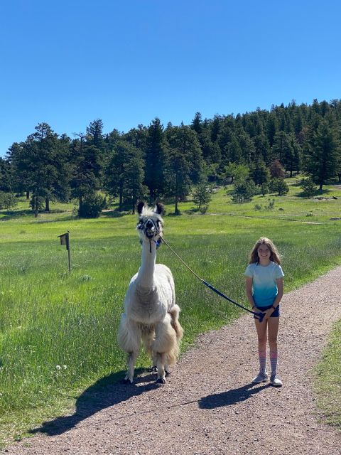 Denver: Llama Hike in the Rocky Mountains - Frequently Asked Questions