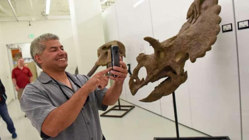 Denver: Museum of Nature and Science Entry Ticket - Key Points