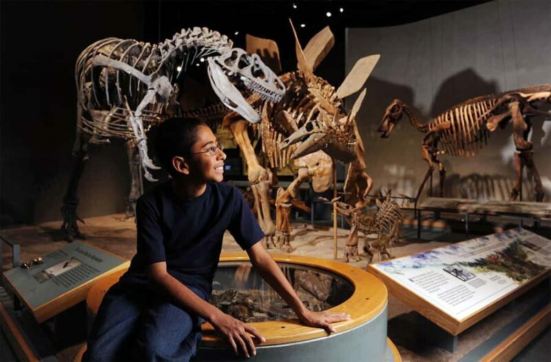 Denver: Museum of Nature and Science Entry Ticket - What to Expect During Your Visit