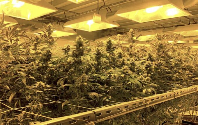 Denver: Private Luxury Cannabis Tour - Frequently Asked Questions