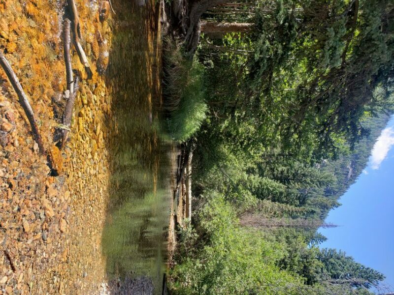 Denver: Rocky Mountain National Park Tour with Picnic Lunch - An Ideal Introduction to Rocky Mountain National Park