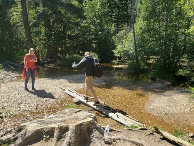 Denver: Rocky Mountain National Park Tour with Picnic Lunch - Practical Considerations