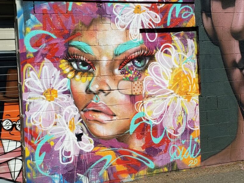 Denver: Street Art, Murals, and Graffiti Walking Tour - Tour Highlights