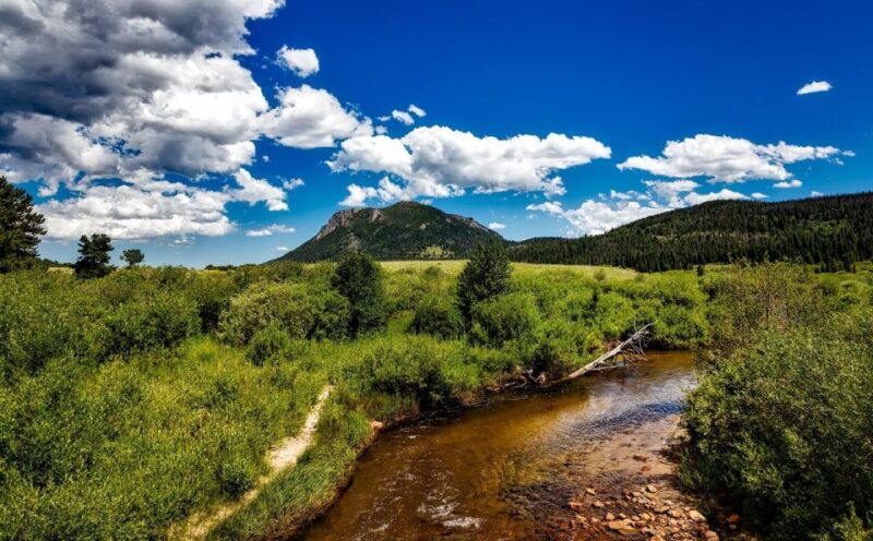 Denver's Nature Escape: Rocky Mountain National Park - Trail Ridge Road Views