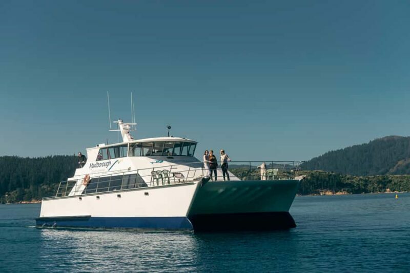 Depart Picton: Marlborough Sounds Afternoon Seafood Cruise - Who Will Love This Tour?
