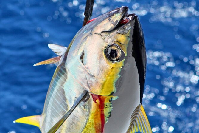Departing From Onna Village (Maeda Fishing Port)! Fishing Experience/Trolling | Complete Boat Charter Plan (4 Hour Course/7 Hour Course) - Location and Accessibility