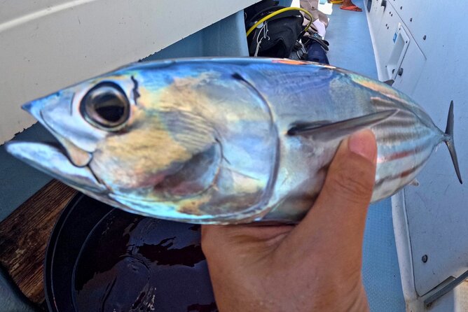 Departing From Onna Village (Maeda Fishing Port)! Fishing Experience/Trolling | Complete Boat Charter Plan (4 Hour Course/7 Hour Course) - Included in the Boat Charter