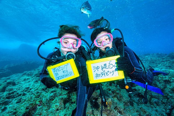Departing From Onna Village (Maeda Fishing Port)! Minna Island Snorkel & Trolling Experience | Completely Reserved Boat Charter Plan (7 Hours Course) - Boat Charter