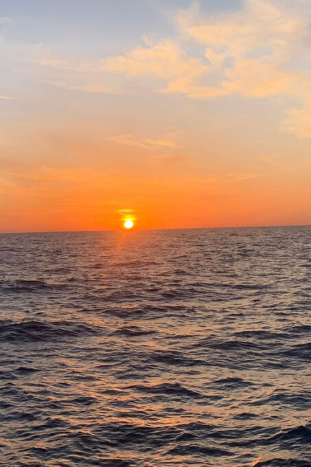 Departure From Brusc: Half-Day Catamaran Cruise - Frequently Asked Questions