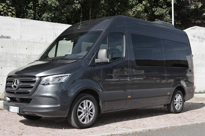 Departure Private Transfer Amsterdam City to Amsterdam Airport AMS by Minibus - Key Points