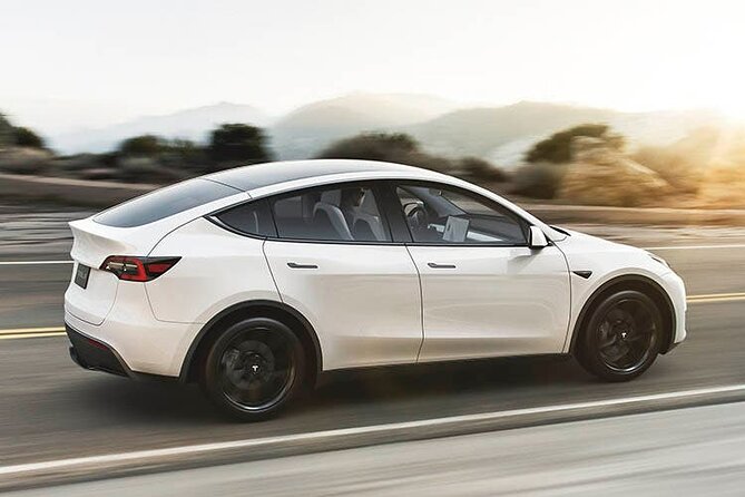Departure Private Transfer: Las Vegas to Las Vegas Airport by Electric Vehicle - Professional Chauffeur and Pickup