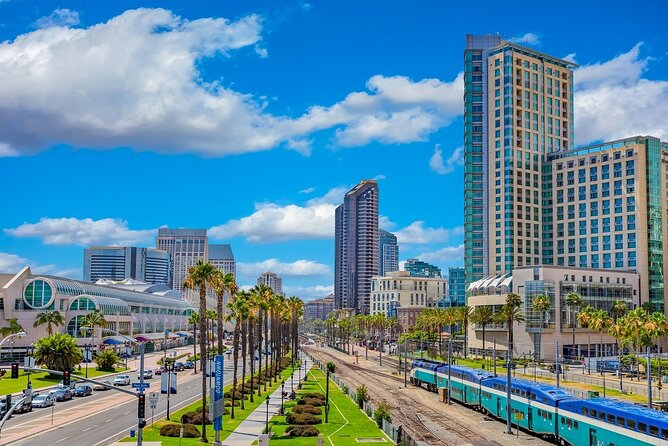 Departure Private Transfer: San Diego to San Diego Airport SAN in Luxury SUV - Additional Amenities