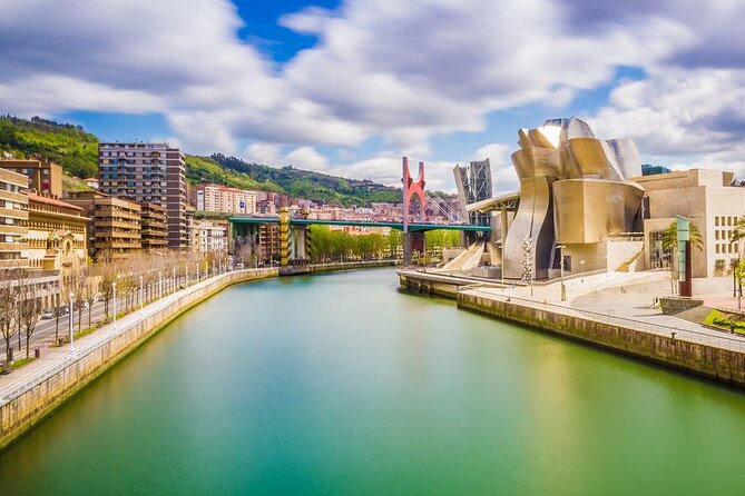 Departure Private Transfers: Bilbao City to Bilbao Airport BIO in Business Car - Accessibility and Participation
