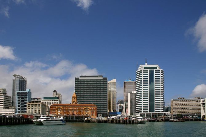 Departure Transfer: Auckland Central City Centre to Auckland Airport - Pricing and Comparison