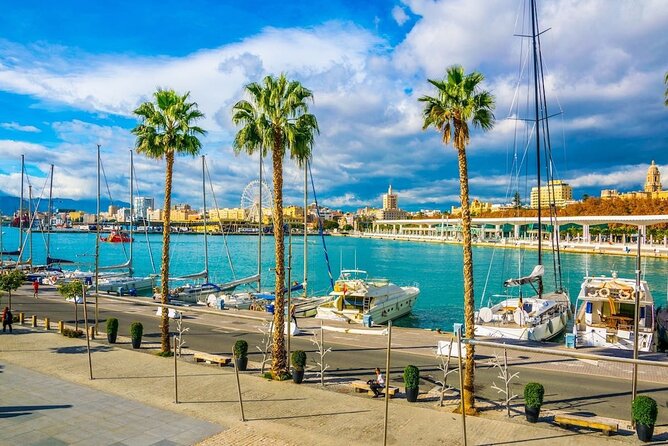 Departure Transfer: Malaga to Malaga Airport AGP by Luxury Van - Infant Seats and Accessibility