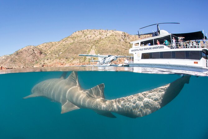 Derby to Horizontal Falls Half Day Adventure - Important Details