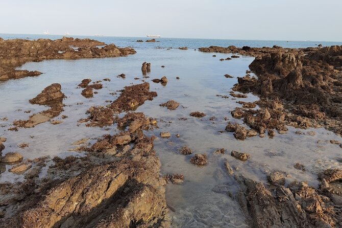 Desaru Beachlife & Tidepool Discovery - Participant Suitability
