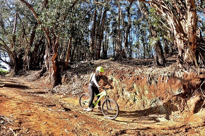 Descend in Mountain Bike in Northern Forests of Gran Canaria - Meeting and Pickup