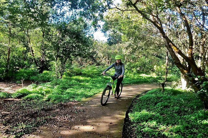 Descend in Mountain Bike in Northern Forests of Gran Canaria - Health and Fitness