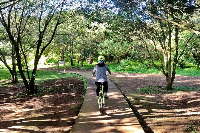 Descend in Mountain Bike in Northern Forests of Gran Canaria - Preparing for the Ride