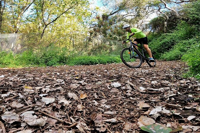 Descend in Mountain Bike in Northern Forests of Gran Canaria - What to Expect