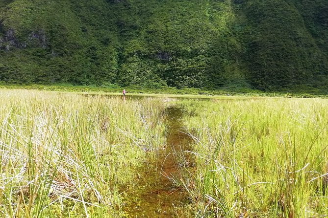 Descent to Caldeira Do Faial - the Perfect Adventure - Tour Overview and Details