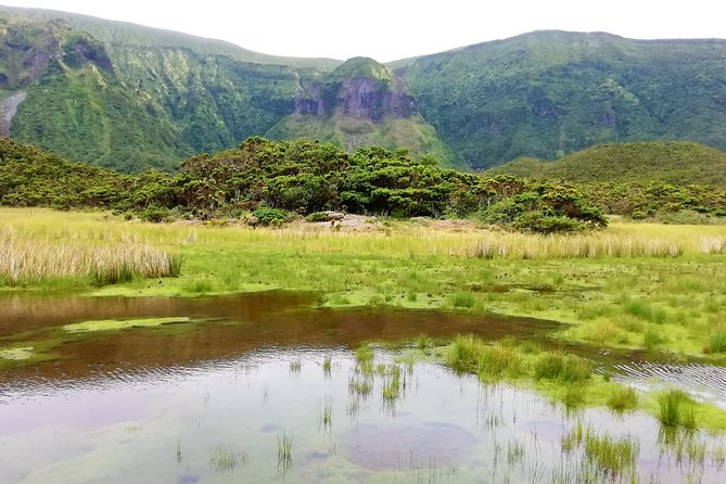 Descent to Caldeira Do Faial - the Perfect Adventure - Cancellation and Weather Policy