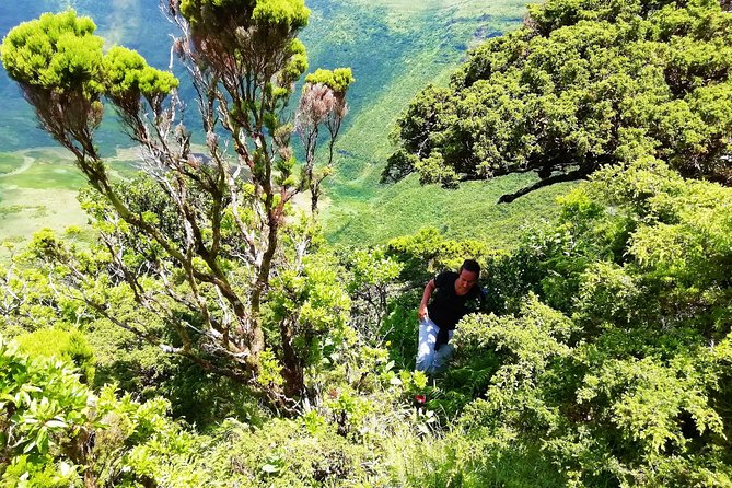 Descent to Caldeira Do Faial - the Perfect Adventure - Preparing for the Adventure