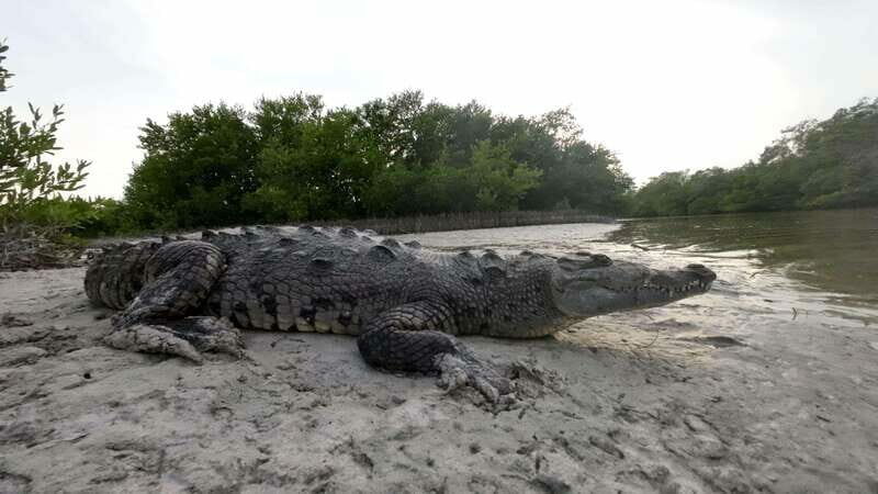Desde Holbox: SunSea- SUNSET Kayak - The Itinerary: A Closer Look