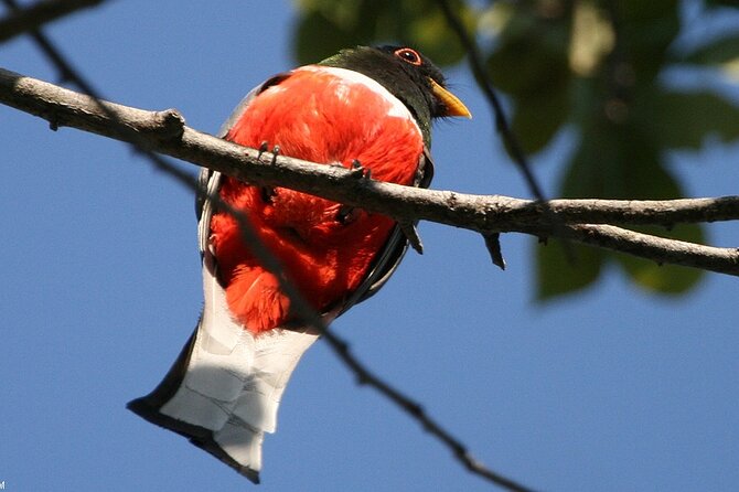 Desembocada and Ameca River Bird Paradise (Wetland and Tropical Birds in Pv) - Getting to the Meeting Point