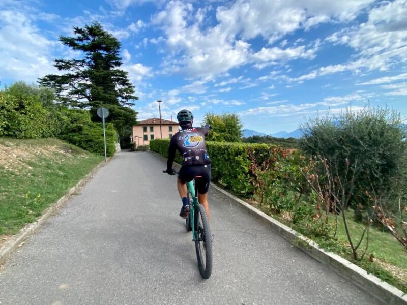 Desenzano: E-Bike Tour With Wine Tasting - Key Points