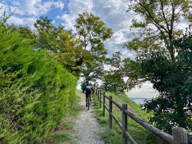 Desenzano: E-Bike Tour With Wine Tasting - Age and Difficulty